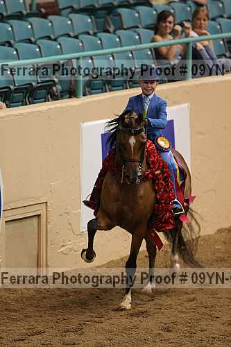 Proof 09yn-04833