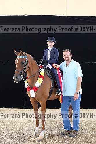 Proof 09yn-04841