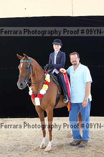 Proof 09yn-04842