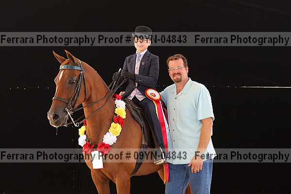 Proof 09yn-04843