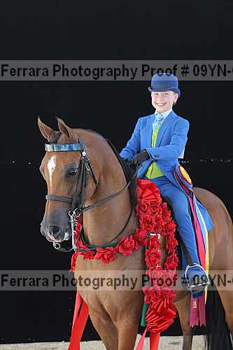 Proof 09yn-04877