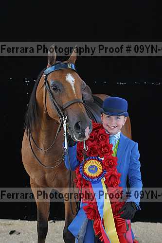 Proof 09yn-04893