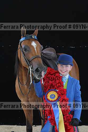 Proof 09yn-04894