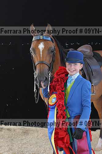 Proof 09yn-04897
