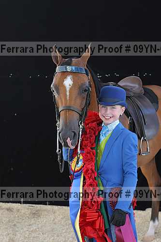 Proof 09yn-04899