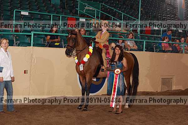 Proof 09yn-05484