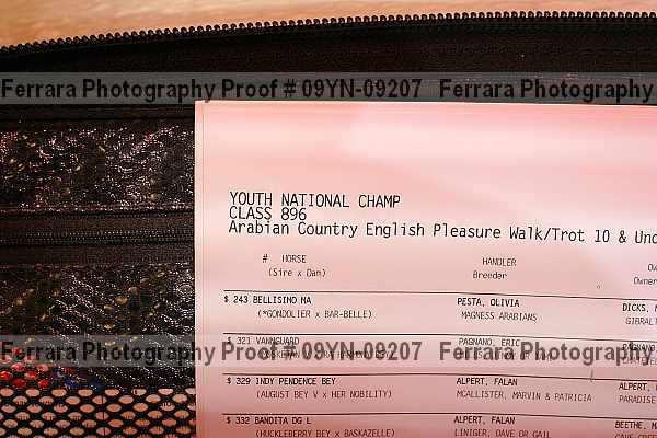 Proof 09yn-09207