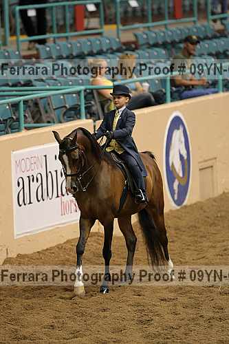 Proof 09yn-09208