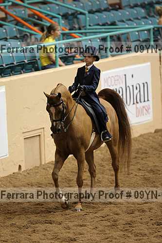 Proof 09yn-09209