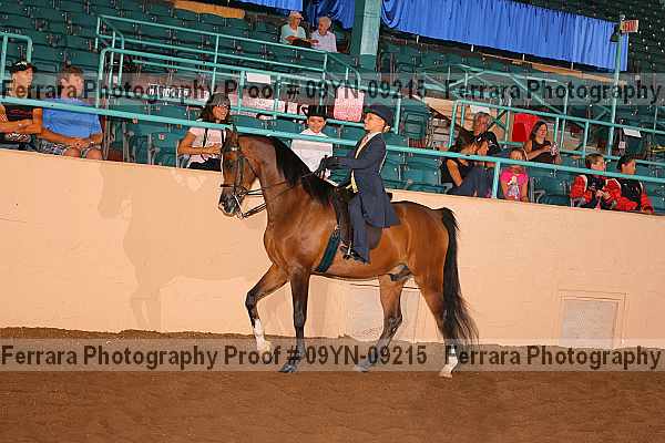 Proof 09yn-09215