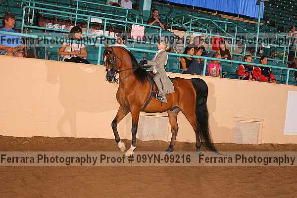 Proof 09yn-09216
