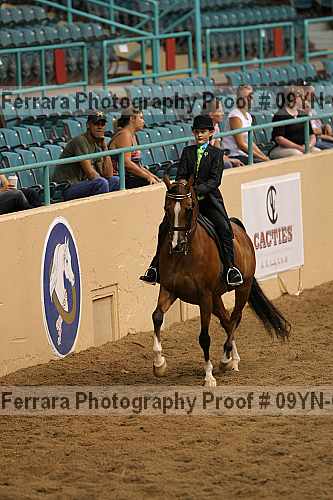 Proof 09yn-09226