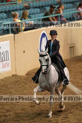 Proof 09yn-09236