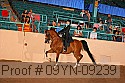 09yn-09239 proof