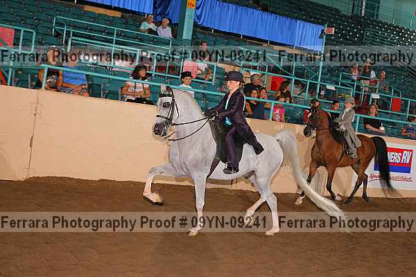 Proof 09yn-09241