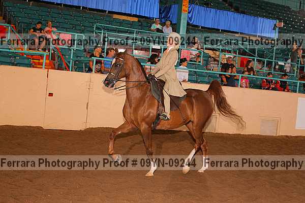 Proof 09yn-09244