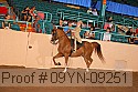 09yn-09251 proof