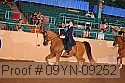09yn-09252 proof