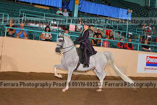 Proof 09yn-09253