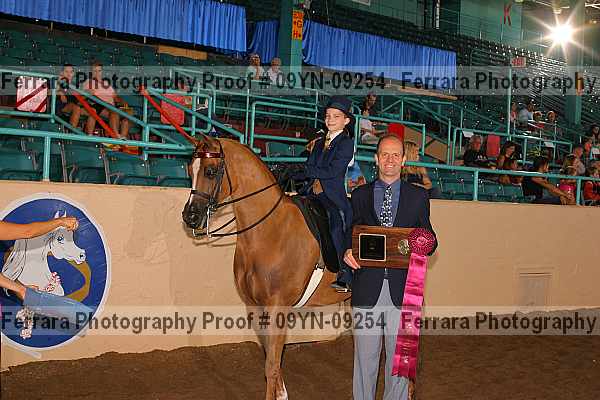 Proof 09yn-09254