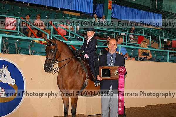 Proof 09yn-09255