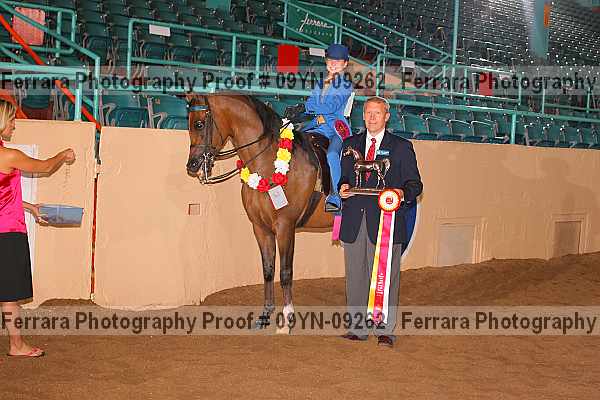 Proof 09yn-09262