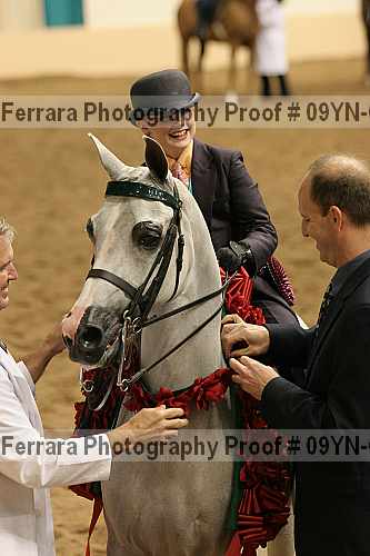 Proof 09yn-09264