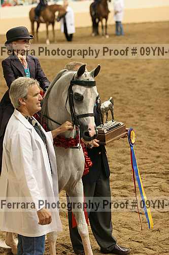 Proof 09yn-09266