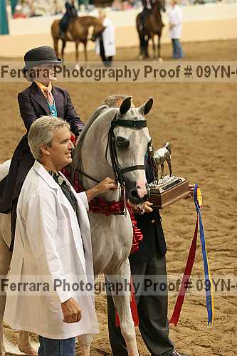 Proof 09yn-09267