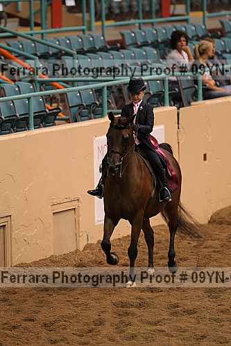 Proof 09yn-09274