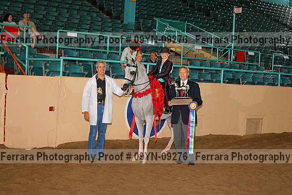 Proof 09yn-09276