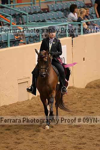 Proof 09yn-09277