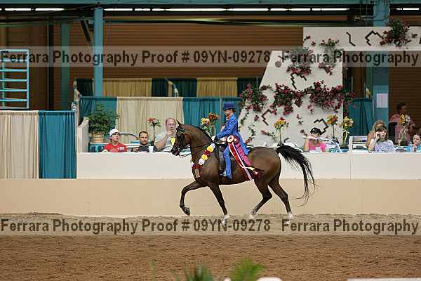 Proof 09yn-09278