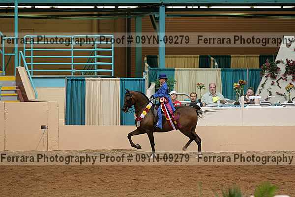 Proof 09yn-09279