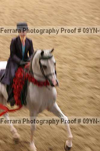 Proof 09yn-09280