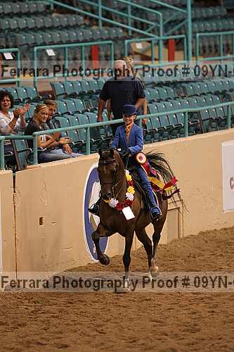 Proof 09yn-09283