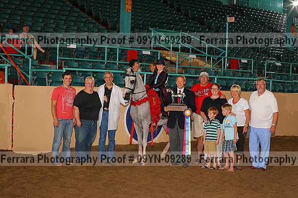 Proof 09yn-09289