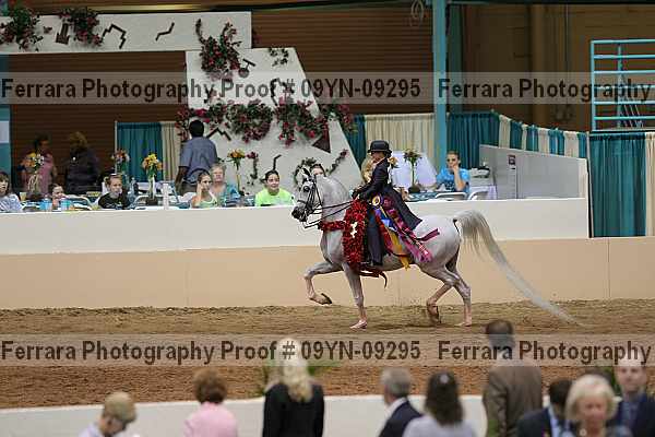 Proof 09yn-09295