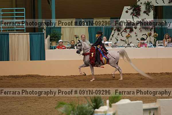 Proof 09yn-09296