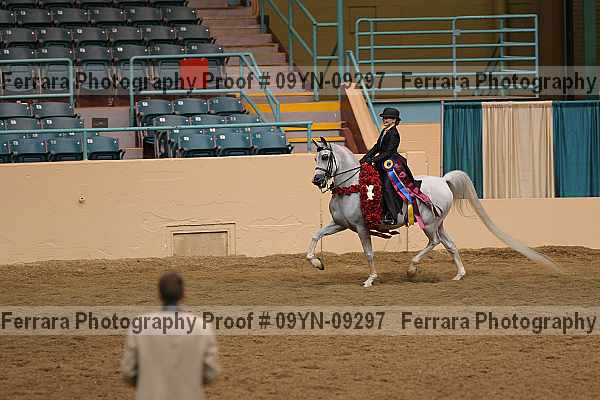Proof 09yn-09297
