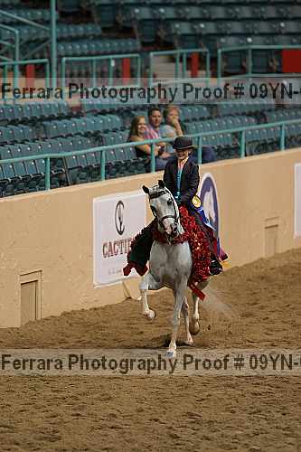 Proof 09yn-09298