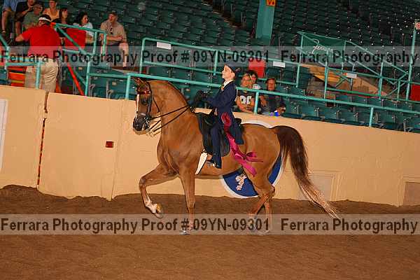 Proof 09yn-09301