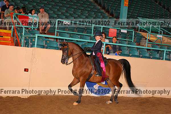 Proof 09yn-09302