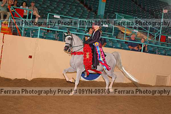 Proof 09yn-09305