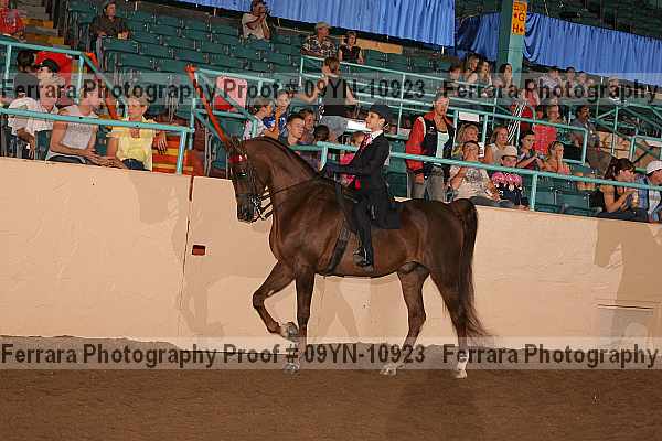 Proof 09yn-10923