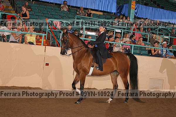Proof 09yn-10924