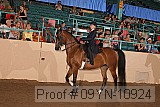 09yn-10924 proof