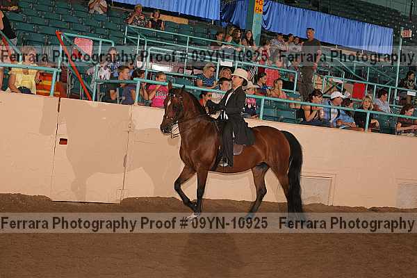 Proof 09yn-10925