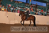 09yn-10925 proof