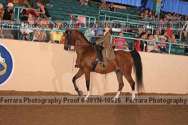 Proof 09yn-10926